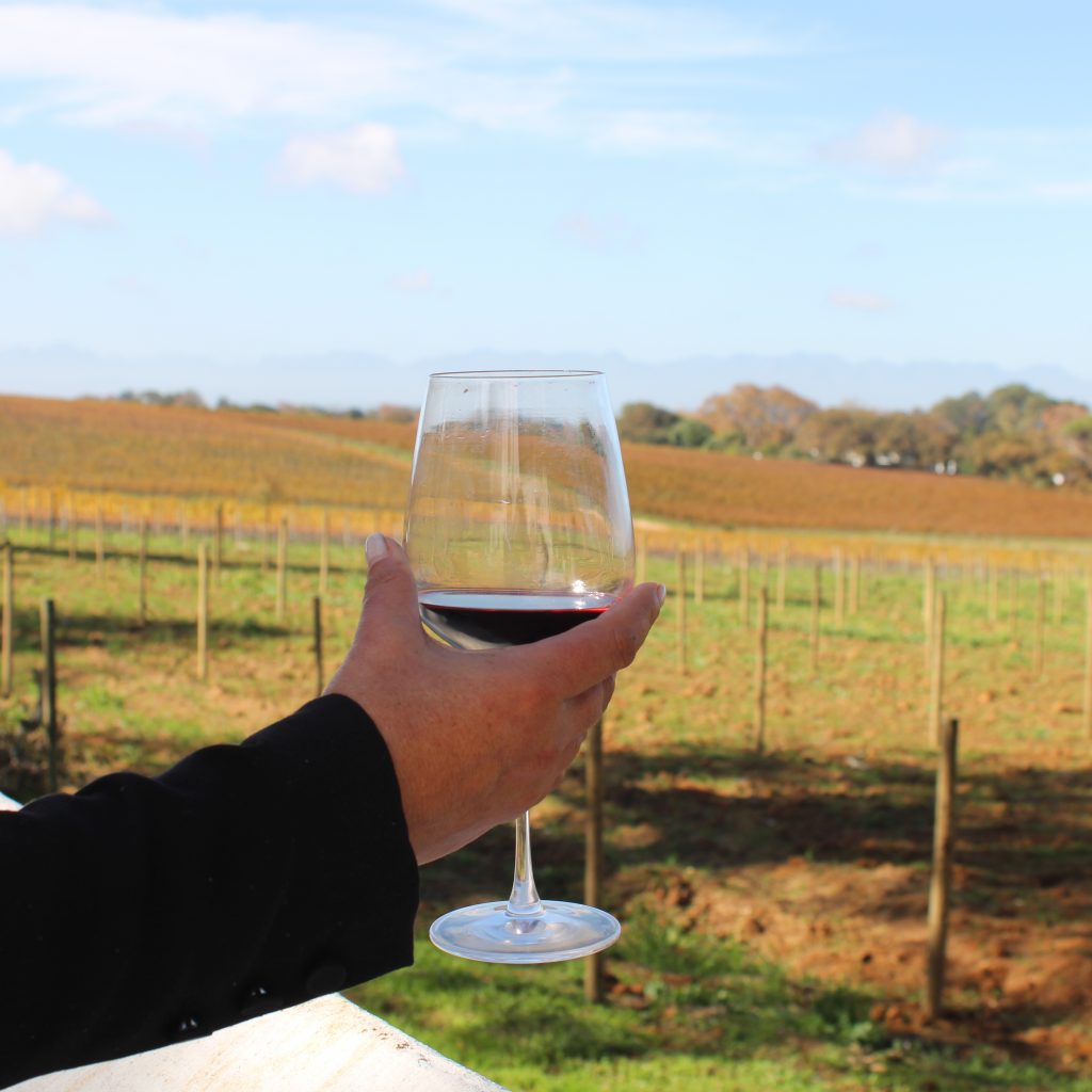ICCPT Wine Tasting